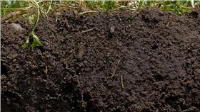 土、土壤/flickr－Natural Resources Conservation Service Soil Health Campaign／https://www.flickr.com/photos/87743206@N04/8053614949/in/photolist-dgET9a-fEki5c-9ohvUW-9iPPLW-77LK5N-9iPPxm-fEBSXb-dkjqds-dgETYd-bVfVvF-dgEWqj-bnTN1k-o7kPym-eYvaC8-rUVfBz-dS2f5G-9kTo1h-qLmxyr-fEdzQt-fEvaF1-fEvb2o-9rtg9v-fEz9xd-9tNMne-h8dJZ9-9kQjae-o6xdBP-nPYCU7-gge2Nu-h4Wf1L-h4XtzQ-nYijY3-bXrwzC-fEz9oC-8t9w3q-f8upSC-bMjCua-fEz9d5-nHtHyg-gjUfUJ-h8dCDc-fPQmMY-8Lq63V-nTvfXF-7cE9Ev-nP6DR6-o3h5MZ-9rtfec-7cJ3h9-7YPjos