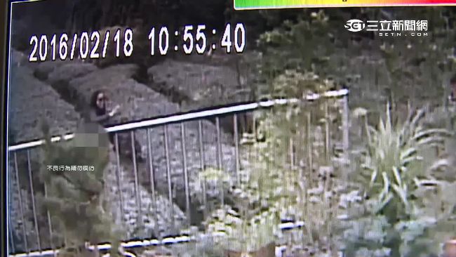 集體闖茶園便溺　陸客：台灣導遊教的