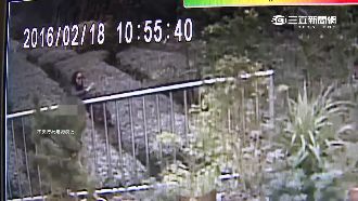 集體闖茶園便溺　陸客：台灣導遊教的