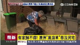 澳房被草淹1100.