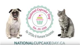 國際杯子蛋糕日for SPCA & Humane Societies
Youtube影片截圖https://www.youtube.com/watch?v=_iqH2L2DO9c
