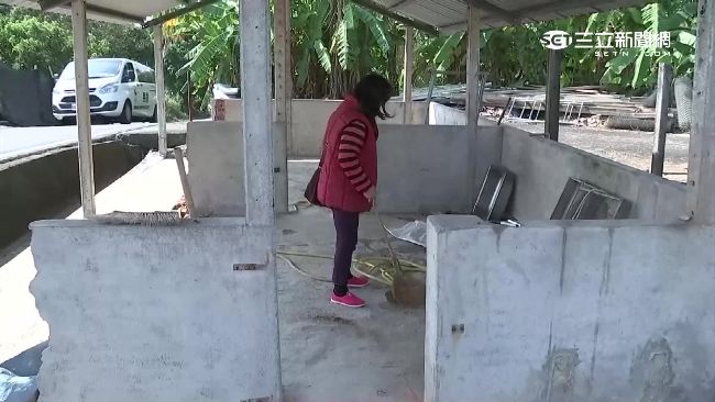 同樣震災卻被遺忘　內門災民仍睡豬舍