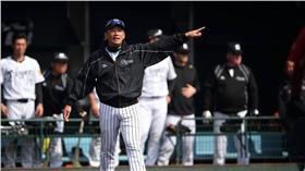 ▲圖／翻攝自阪神虎隊官方臉書
https://www.facebook.com/tigersdreamlink/?fref=ts
