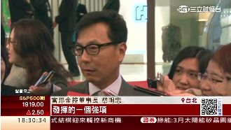 展望2016　蔡明忠：富邦電金合擊