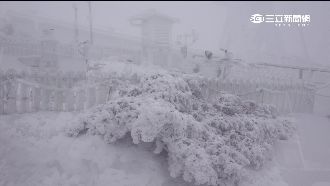 影／越晚越冷　玉山、合歡山再飄雪