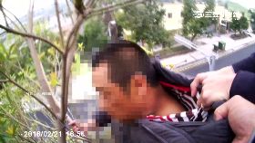 父跳樹自清g1200