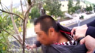 男官司纏身、遭父指責　企圖跳樹輕生