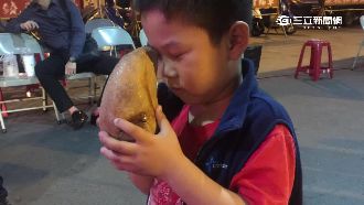 5歲童連9聖筊　贏走40萬轎車