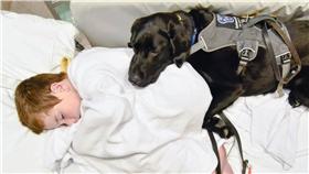 醫療犬陪伴自閉兒（圖／James Isaac臉書）
https://www.facebook.com/SupportingJames