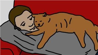 十種和寵物的睡姿　看出牠愛你的方式