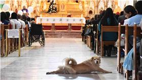 流浪狗擅闖教堂
https://www.facebook.com/Solovinomexico/photos/a.684790941531920.1073741828.684782201532794/1169756689702007/?type=3&theater