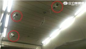 監視器16:9－林敬旻攝