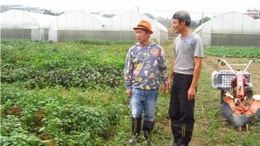 連米其林主廚都為之瘋狂的有機美食