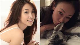 潘慧如,民宿,跳蚤（圖／翻攝自潘慧如 Ada Pan臉書）
https://www.facebook.com/permalink.php?story_fbid=1004678699581125&id=122553854460285