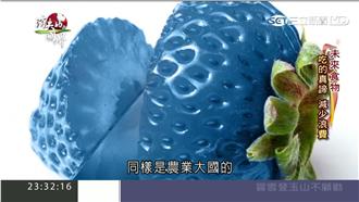 未來食物！科學改造水果解決剩食問題