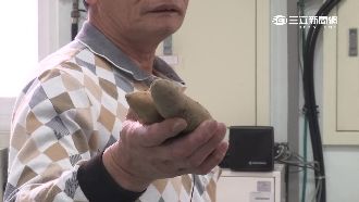 地瓜包報紙偽裝現金　筍農釣詐騙車手