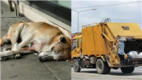 流浪狗,老狗,棄養,癱瘓,垃圾車▲合成圖／達志影像