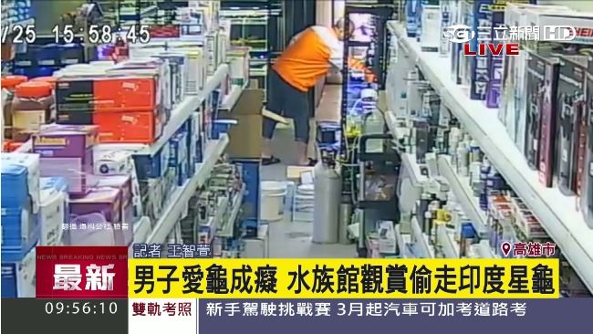 鎖定鎮店之寶半年　男子竊走印度星龜