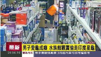 鎖定鎮店之寶半年　男子竊走印度星龜