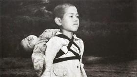 小男孩、日本、長崎、二戰（圖翻攝自camgle）