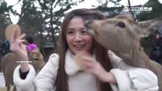 解婕翎大跳Pocky舞　小鹿忙搶食