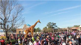 身份證有兩個0！六福村中秋現省九百