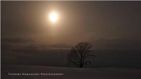 ▲哲學之木立牌警告遊客勿破壞農田。（圖／翻攝自Toshiki Nakanishi臉書）
https://www.facebook.com/photo.php?fbid=958433450904419&set=a.130625100351929.34256.100002133207392&type=3&theater
北海道,哲學之木