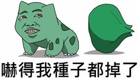 王怡豐／妙蛙種子