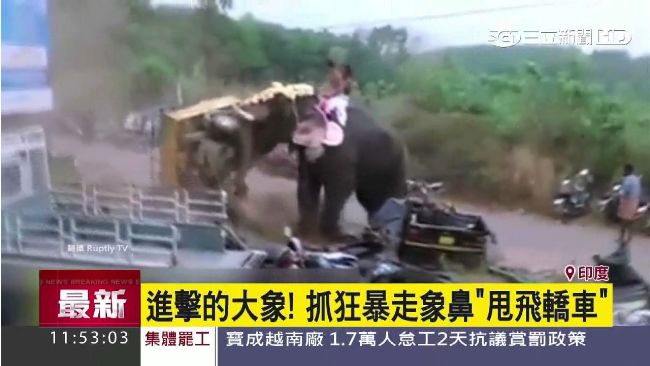 進擊的大象！抓狂暴走鼻「甩飛轎車」