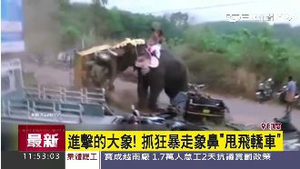 進擊的大象！抓狂暴走鼻「甩飛轎車」