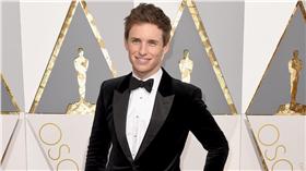 Eddie Redmayne、艾迪瑞德曼、第88屆奧斯卡金像獎完整得獎名單、Oscar Award、奧斯卡／達志影像／美聯社