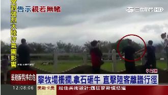 又是陸客？奧客拿石砸牛、違規跨柵欄