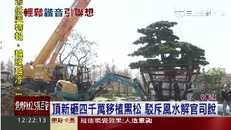 種黑松盼「輕鬆」？頂新駁外界風水說