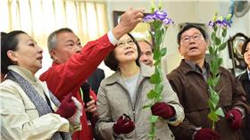 蔡英文　圖／翻攝自蔡英文臉書