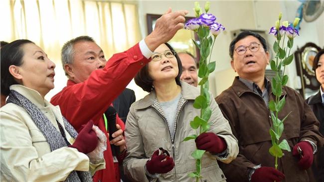 蔡英文提出口管理　將農產品行銷全球