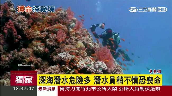為一窺深海奇觀　潛水員搏命挑戰極限
