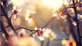 好天氣示意圖/達志影像