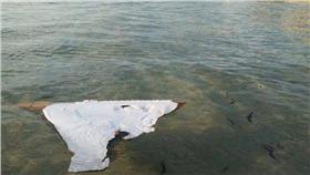 馬航MH370殘骸 （圖／翻攝自CNN）