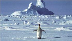 穀物,農場,歉收,全球暖化,溫室效應 (美聯社)