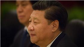 習近平（圖／美聯社／達志影像）