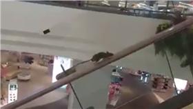 老鼠爬手扶梯（圖翻攝自爆料公社）