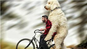 幻想攝影將狗狗巨大化
https://www.instagram.com/christophercline/