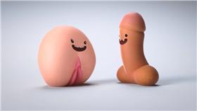 性教育,陰莖,陰道,生殖器,乳房▲圖／翻攝自YouTube