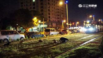 包商跳票狗擋路　高雄輕軌通車再跳票