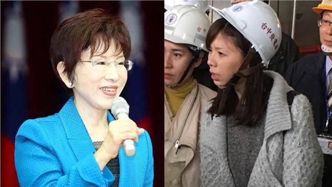 洪秀柱批「荒謬」　洪慈庸一句話反擊