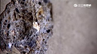 文創大樓爐渣蓋的　松菸人員早知道