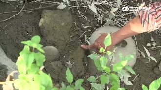 反爐渣自行蒐證　自救會長肋骨遭打斷