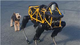 真狗對決機器狗
https://www.flickr.com/photos/jurvetson/24734777053/in/photostream/