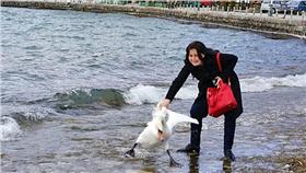 遊客強拉天鵝上岸拍照
http://www.huffingtonpost.com/entry/swan-selfie-bulgaria_us_56df1bbee4b0ffe6f8eb1134
