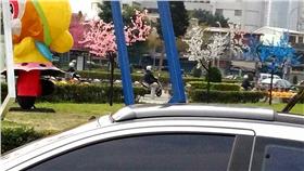 台北市公園有塑膠櫻花樹
翻攝自林長茂臉書
https://www.facebook.com/photo.php?fbid=10201307007433442&set=a.3282837046020.1073741825.1720435008&type=3&theater